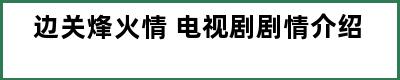 边关烽火情 电视剧剧情介绍